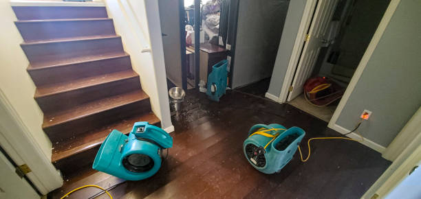 Best Flood restoration services  in Weiser, ID