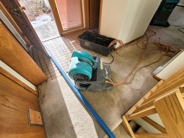Reliable Weiser, ID Water damage restoration Solutions