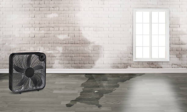 Best Water damage restoration near me  in Weiser, ID