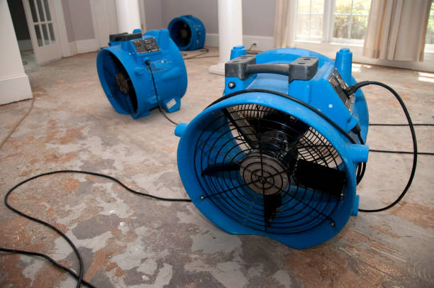 Best Basement water damage restoration  in Weiser, ID