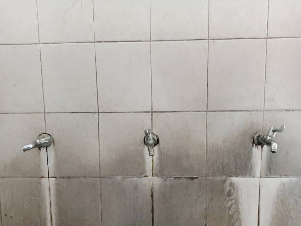Best Water damage cleanup near me  in Weiser, ID