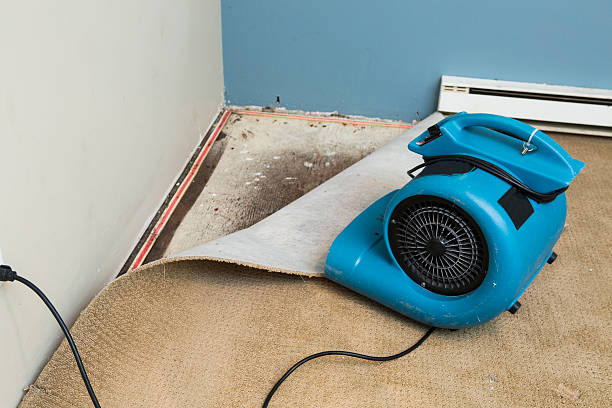 Best 24/7 water damage repair  in Weiser, ID